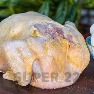 Pollo